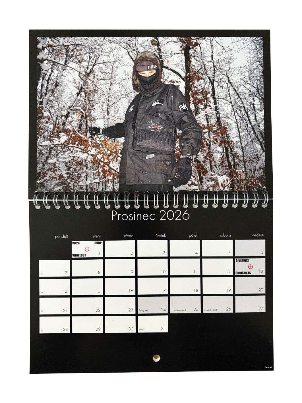 CALENDAR 2026 - BIZARRO